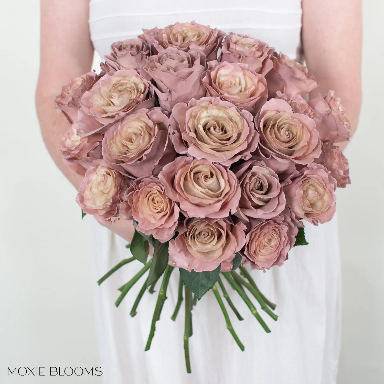 Desert Sand Novelty Roses