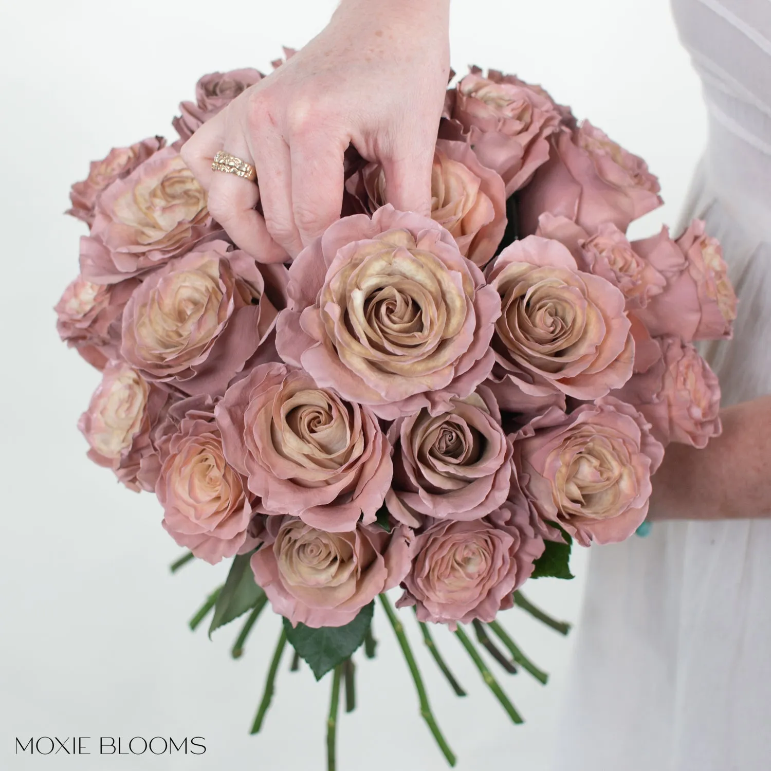 Desert Sand Novelty Roses